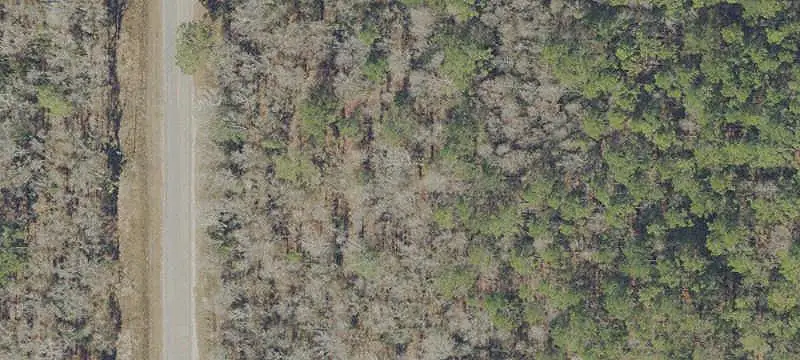 Unimproved Land