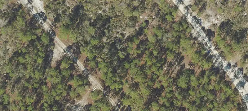 Unimproved Land