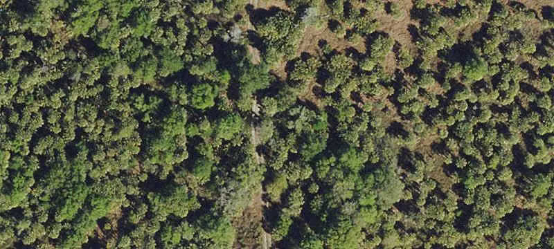 Lot & Land