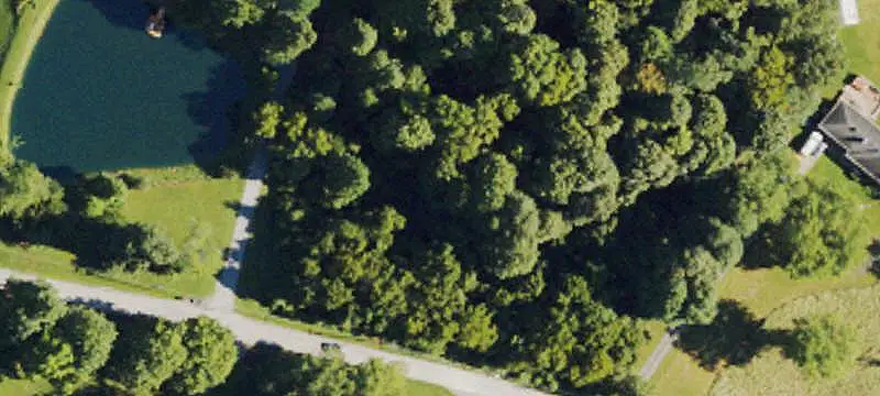 Wooded Land Parcel