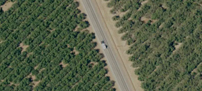Irrigated Almond Farm