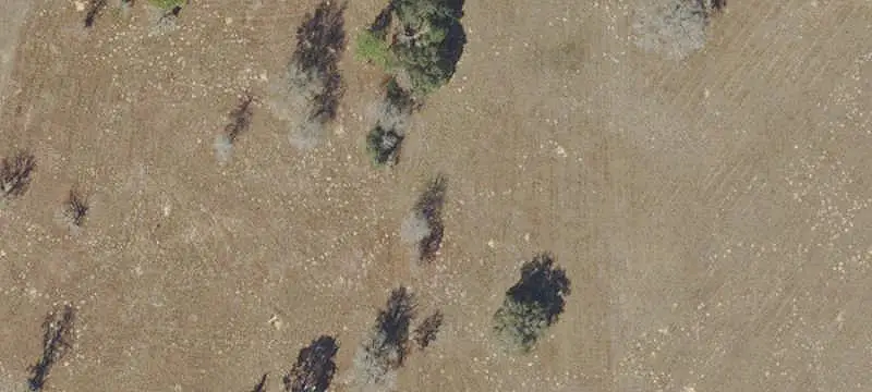 Lots/Land