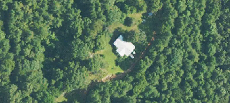 Planted Timber Farmland Tract