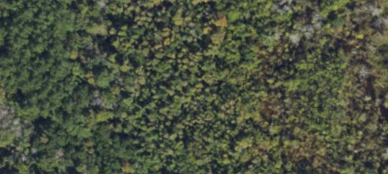 Lots/Land