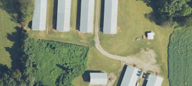 Six-House Poultry Farm