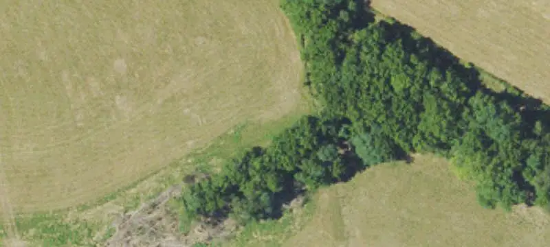 Corner Commercial Land