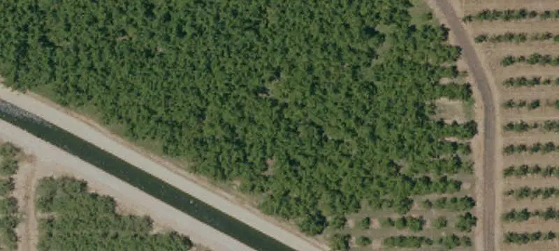 Agricultural Land with Orchard