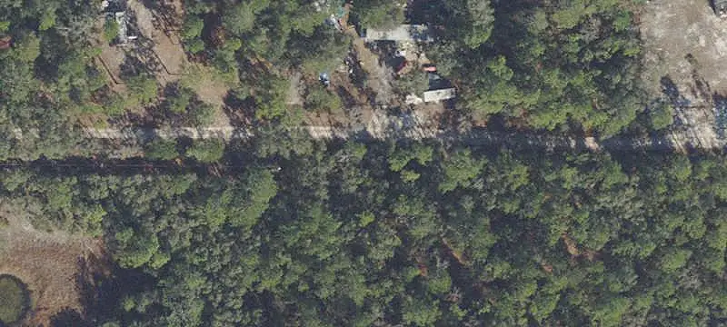 Cleared Agricultural Land