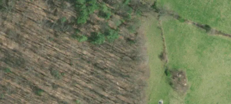 Agricultural Land Adjoining National Forest