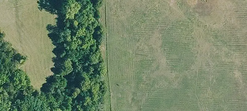 Whitetail Hunting Land