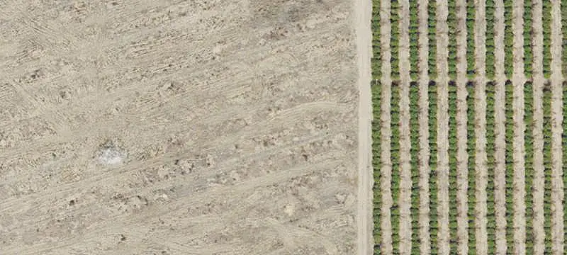 Citrus Farm With Irrigation Pond