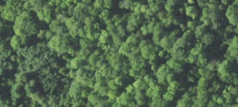 Highway-Adjacent Commercial Land