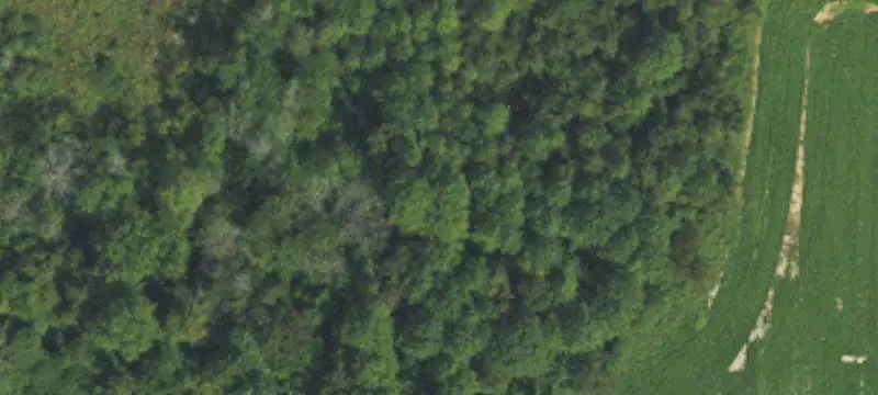 Agricultural Land with Timber and Marsh