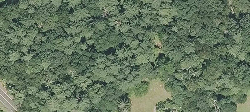 Neighborhood Commercial Development Site