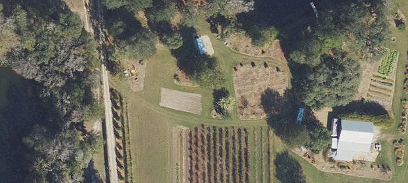 Springfed Pond Farm