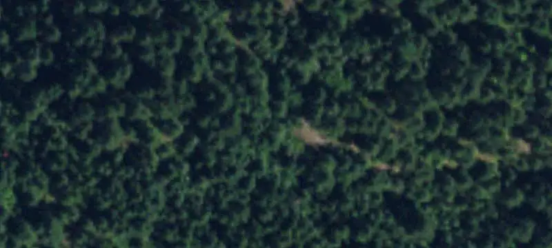 Farmland with Onion Creek