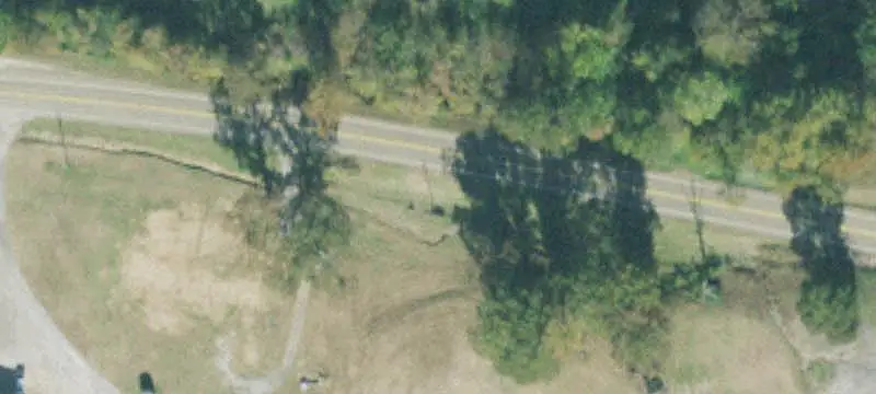 Agricultural Land with Timber