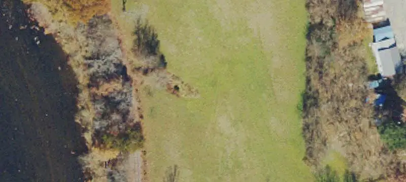 Farm Property with Timber