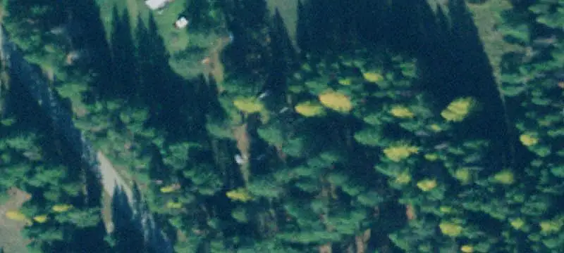 Wooded Hunting Land with Pond