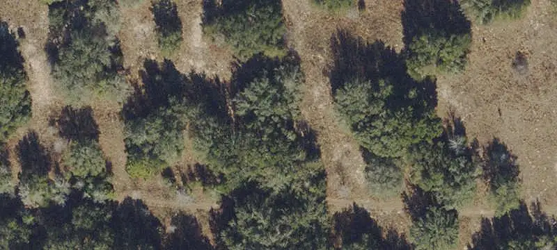 Land