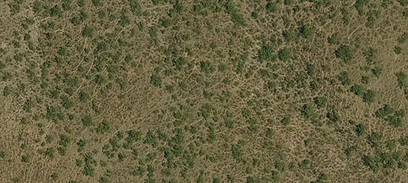 Unimproved Land