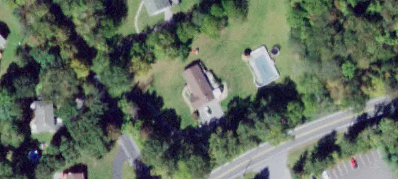 Level Wooded Land