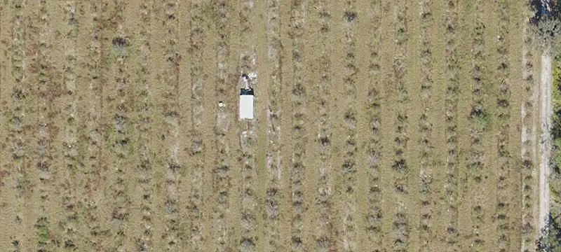 Vacant Farmland Parcel