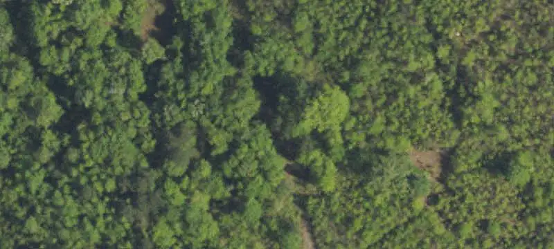 Land Parcels with Creek