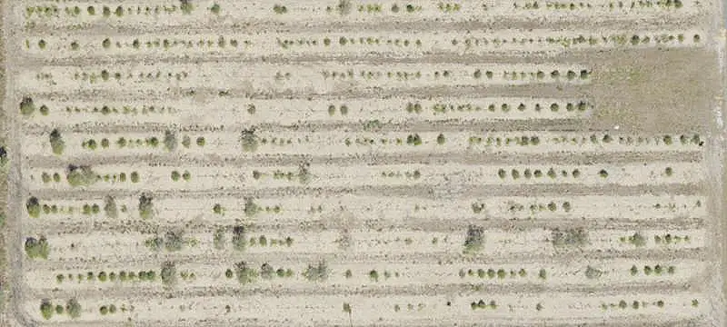 Citrus Farm with Automated Wells
