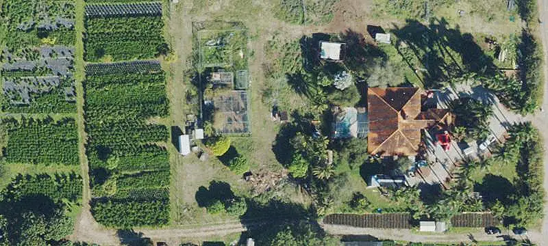 Tropical Farm with Packing House