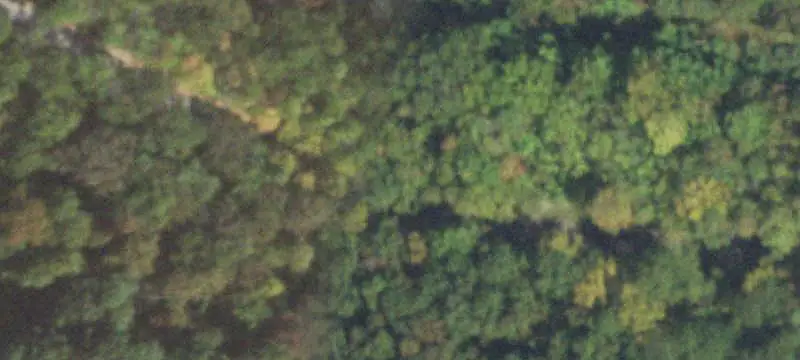 Unimproved Land