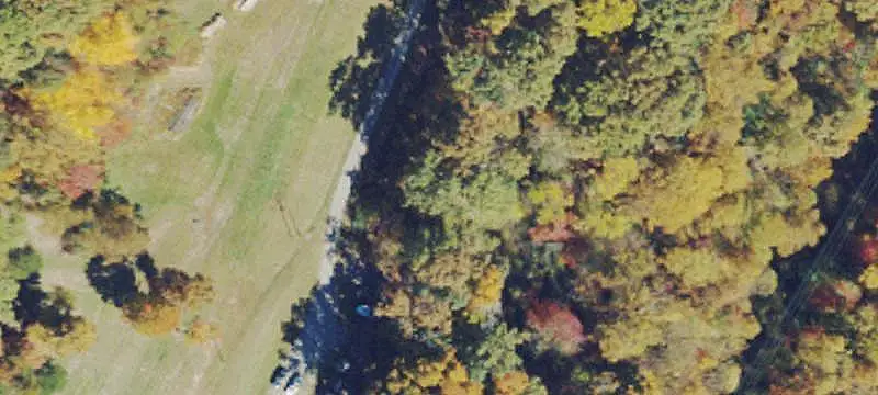 Land with Timber and Mineral Rights
