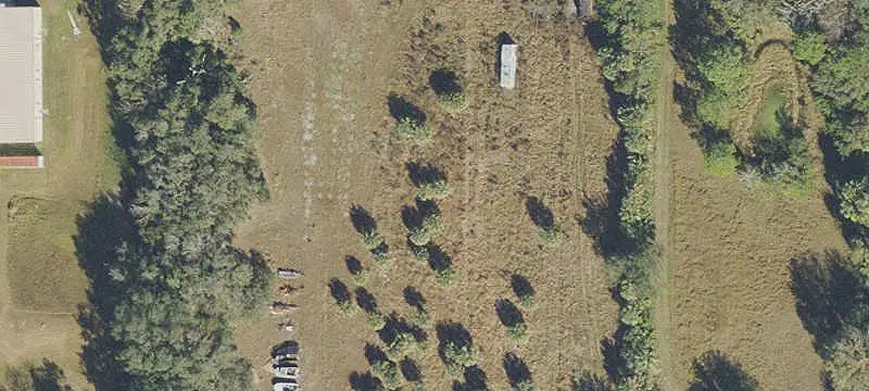 Cleared Agricultural Land