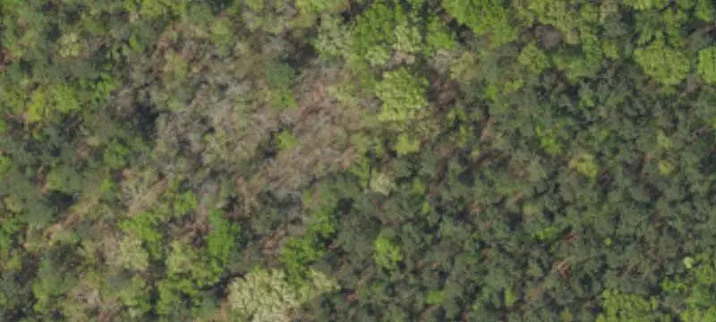 Recreational Hunting Land
