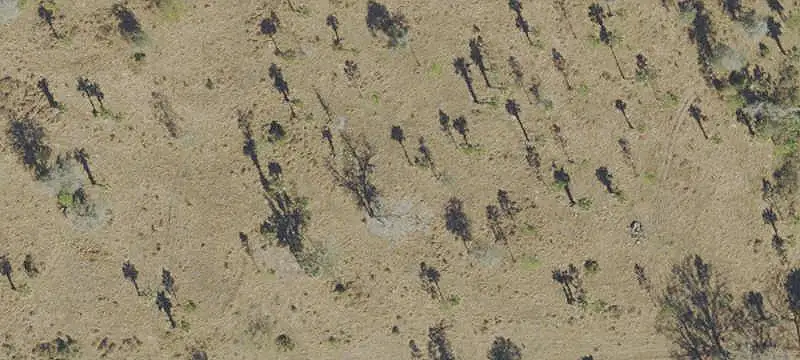 Lots/Land