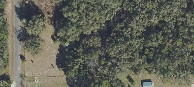 Fenced Agricultural Land with Oaks