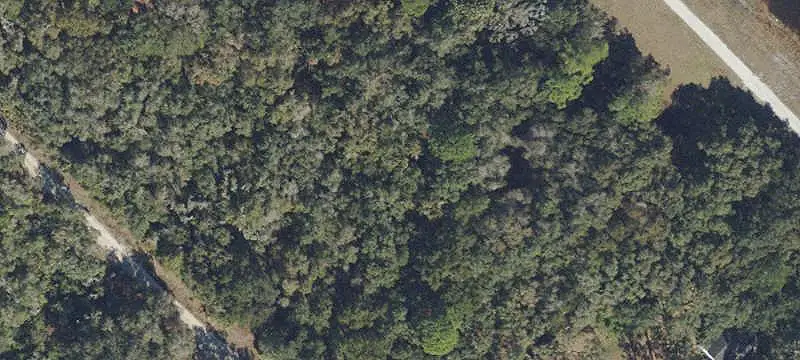 Unimproved Land