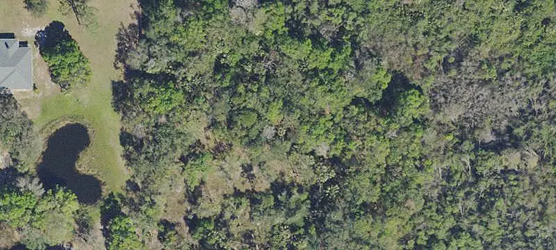 Cleared Land Near Preserve