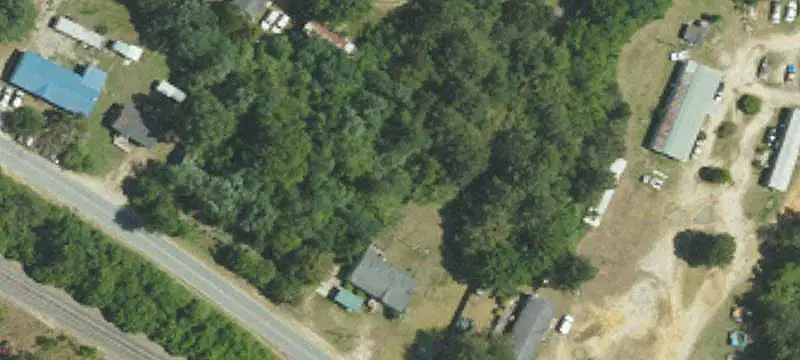Highway-Frontage Managed Timberland