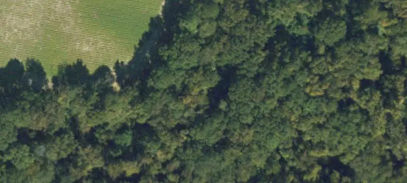 Undeveloped Agricultural Land