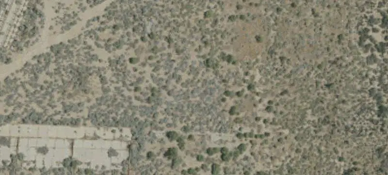 Desert Land with Woodland