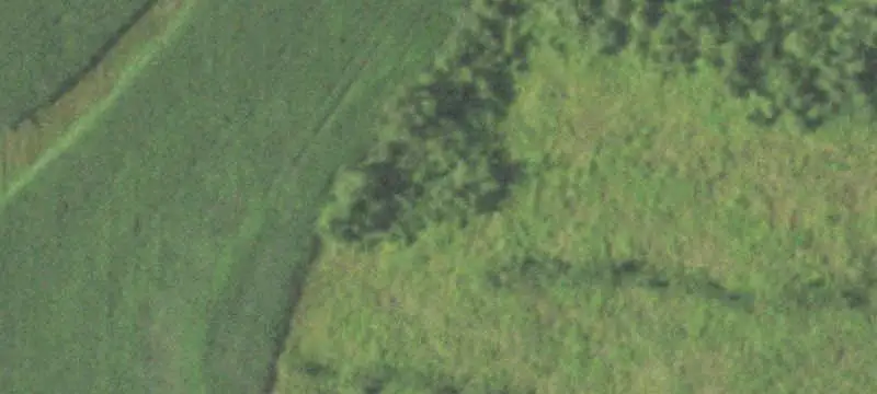 Wooded Hunting Land