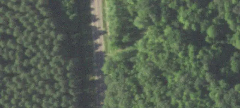 Wooded Hunting Land with Trails