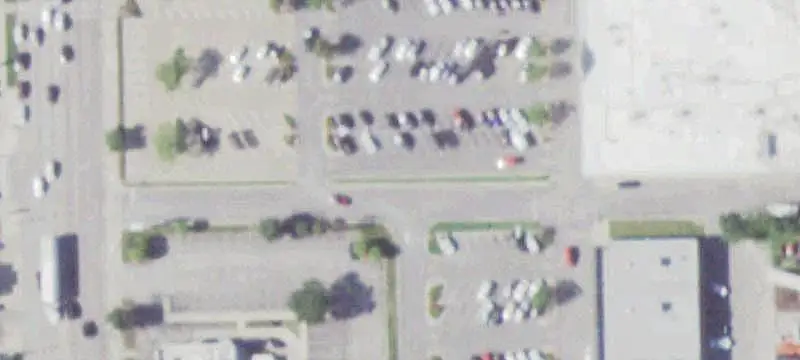 Single-Tenant Grocery Store