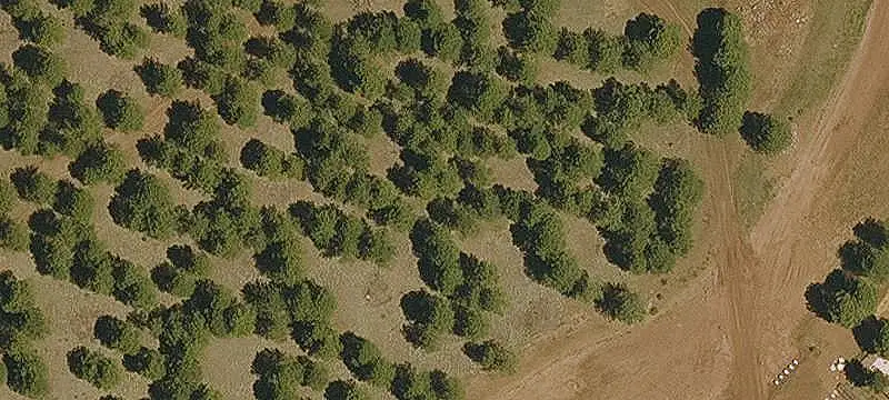 Commercial Land with Freeway Frontage