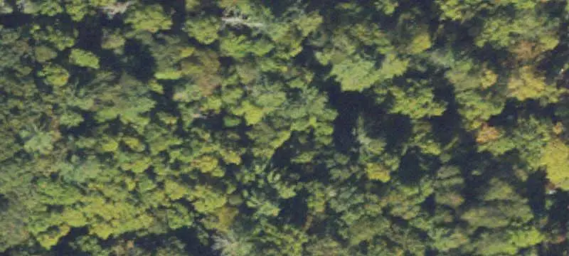 Land / Residential Lot