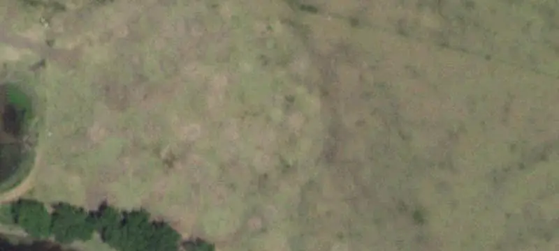 Agricultural Land with Barbed Wire