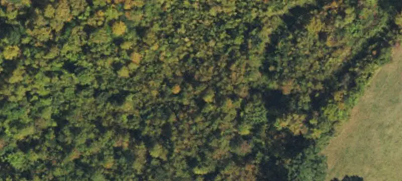 Lots/Land