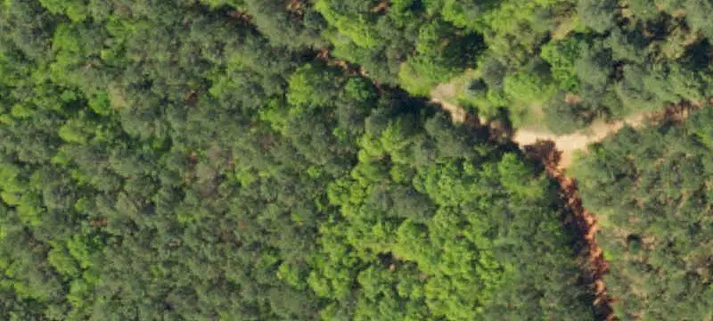 Wooded Hunting Land with Bunkhouse