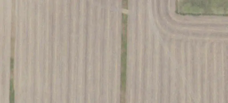 Productive Wheat Farm Land